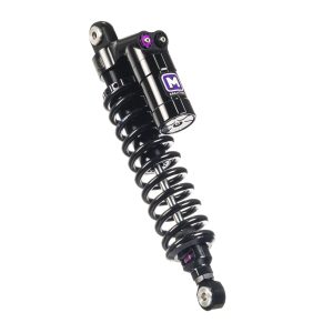 WR30 R Twinshocks